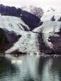 Prince William Sound 26 Glacier Cruise